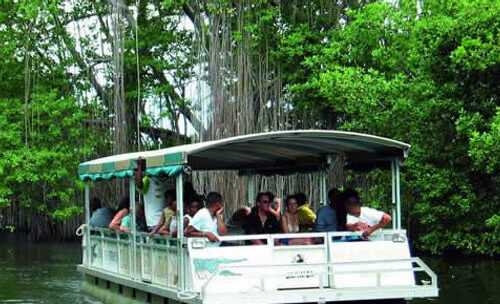 Black River Safari & Pelican Bar
