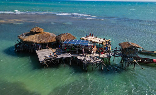 Pelican Bar & Black River Safari + Lunch